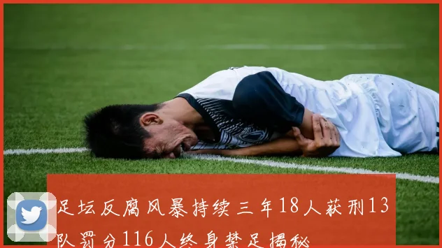 足坛反腐风暴持续三年18人获刑13队罚分116人终身禁足揭秘