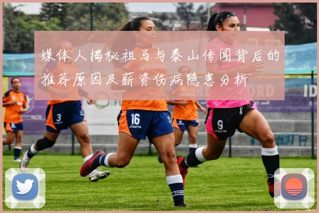 媒体人揭秘祖马与泰山传闻背后的推荐原因及薪资伤病隐患分析