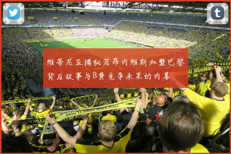 维蒂尼亚揭秘若昂内维斯加盟巴黎背后故事与B费竞争未果的内幕