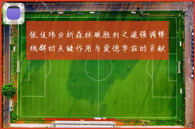 张佳玮分析森林狼胜利之道强调锋线群的关键作用与爱德华兹的贡献