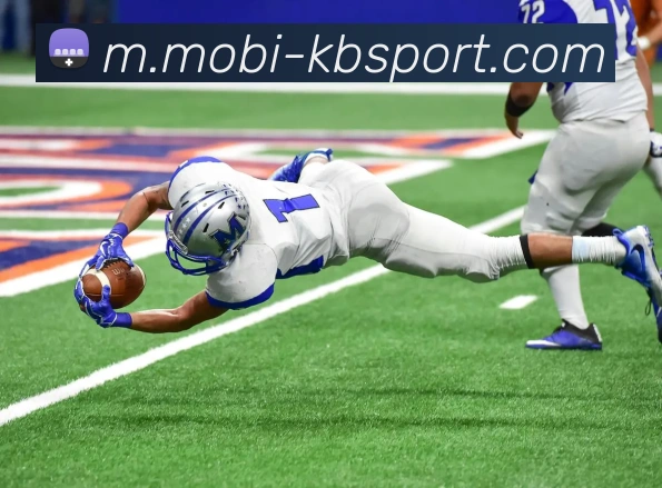 KB体育平台生态图